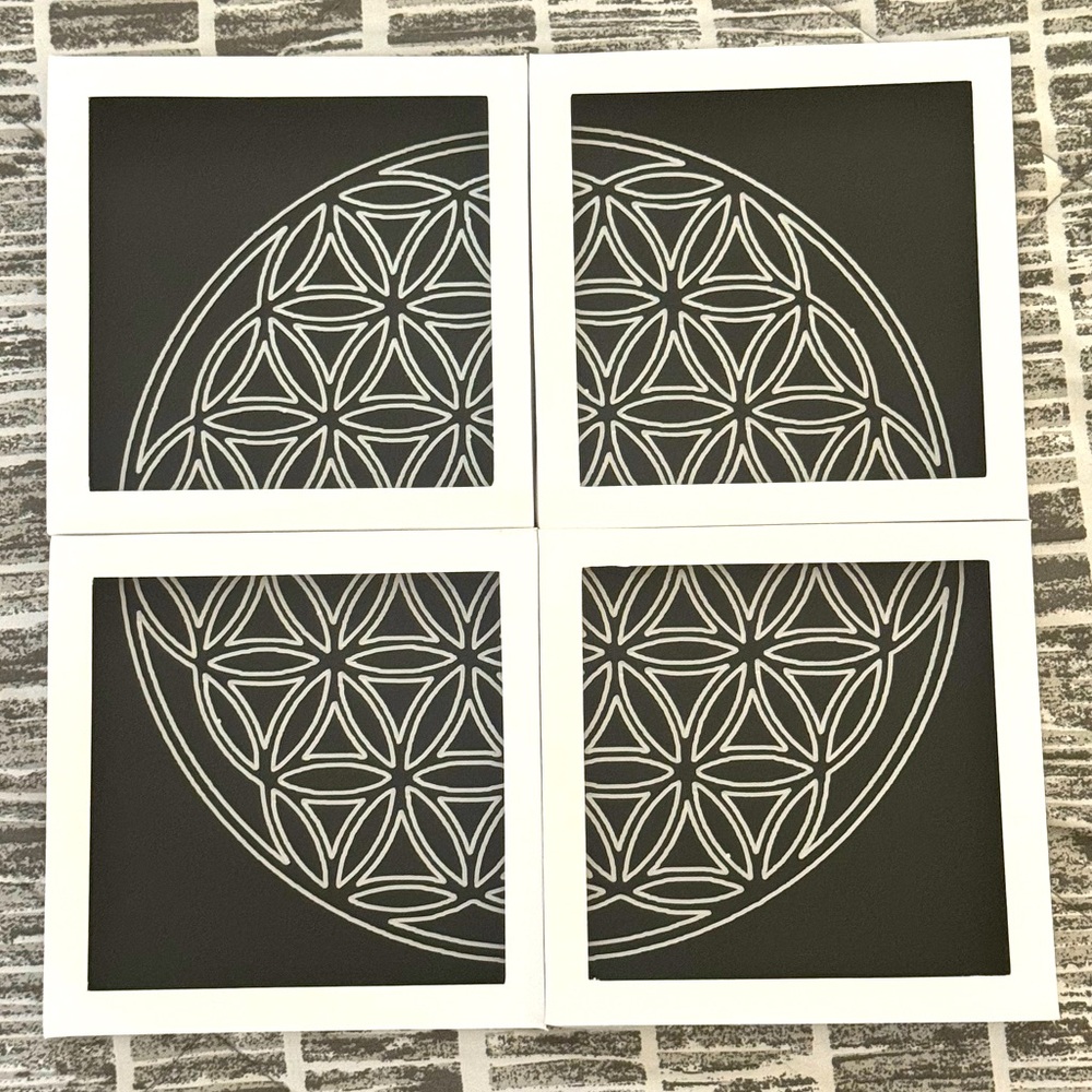 Flower of Life 10x10” black & silver geometric framed decor chi energy zen art
